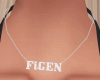 FiGEN Necklace