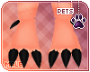 [Pets] Belaya | feet