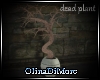 (OD) Dead plant