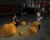 Pumpkin Chat