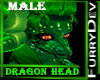 DRAGON HEAD