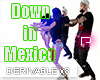 P|Down In Mexico x 8 Drv