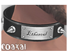 (☆c) Ethereal Collar