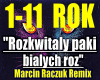 RozkwitalyPakiBialychRoz