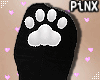 Kitten Paw Socks White