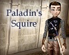 Paladin Squire