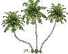 [JD]Palm Trees 2