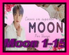 BTS - Moon