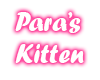 Para's Kitten