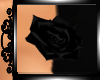 !  Black Rose Pin