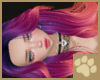 ~AM~ Bowa Hair v4