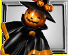 Bewitched Ani Pumpkin Pe