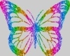 butterflycolor