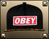 :R: Obey Swag v2