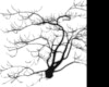 SPOOKY TREE 01