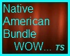 TS-Native American