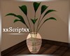 SCR. Plant Vase