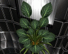 Plant_Cafe Plant