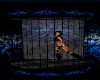Navy Blue Dance Cage