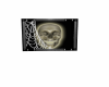 Unholy Skull Pic w/sound