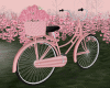Spring Bike Pose