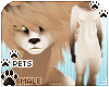 [Pets] Kimi | abless fur