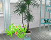 Tropical Plant Majvi