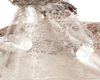 Wedding Veil
