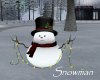 AV Animated Snowman