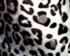 Leopard&Leather Pillows