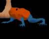 CC - Poison Dart Froggie