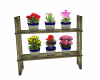 Flower Shelves