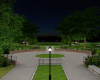 Night Party Garden