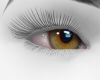 Green Eyes
