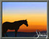 Country Large Horse Pic