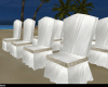 luxury Wedding chairs