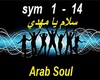 Mrcc Arab Music