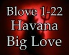 Havana - Big Love