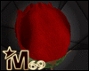 Valentines Romantic Rose