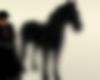 [z] ZORO Horse +sound