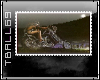 Biker @ night Stamp