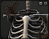*R Plant Skeleton