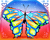 .S. Rainbow Butterfly M