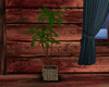 [KG] Rustic Tall Plant