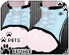 [Pets] Sneakers | Sky