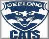 Geelong Footy Song