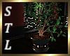 Exclusive Potted Plant