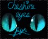 cheshire cat eyes