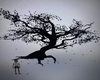 trees magic