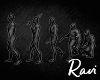 R. Human Evolution